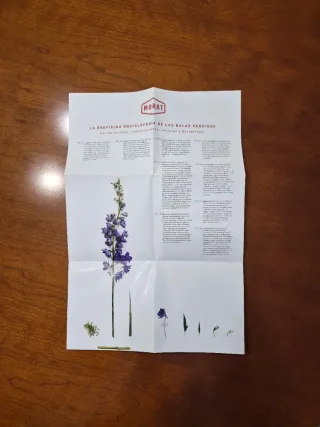 Morat - Disco 'Balas Perdidas' Edición Especial.