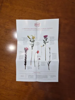 Morat - Disco 'Balas Perdidas' Edición Especial.