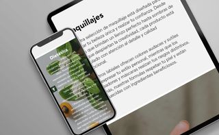 Desarrollo y Diseño Web Profesional