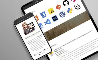 Desarrollo y Diseño Web Profesional