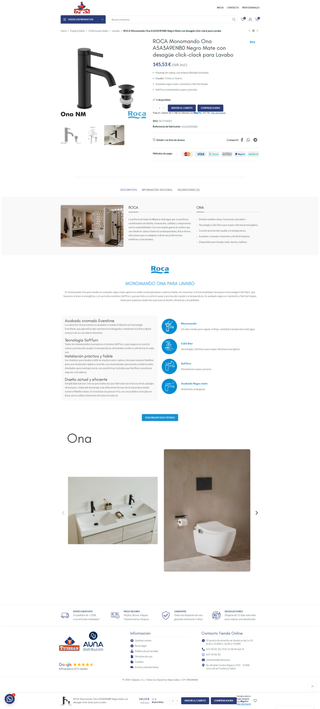 Desarrollo y Diseño Web Profesional