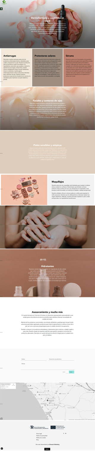 Desarrollo y Diseño Web Profesional