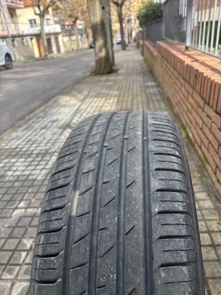 Neumáticos 205/55 R16