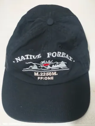 9 Cappelli But'ton...Vintage Blu e Oro