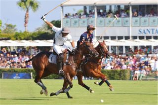 Terreno en venta en Sotogrande Alto en San Roque