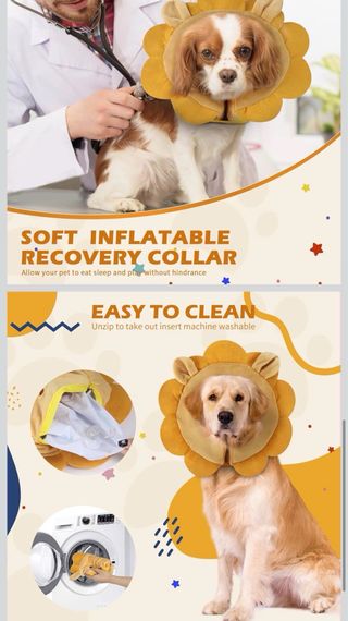 Coleira Recuperação Inflável, Ajustável para cães