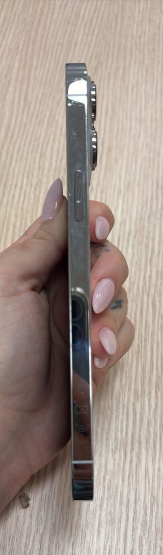 iPhone 13 Pro Max Oro/Plata