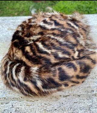 Cappellino maculato animalier