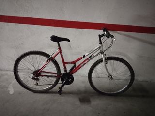 Bicicleta Globe Trotter