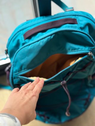 Mochila Patagonia Refugio Daypack 30L