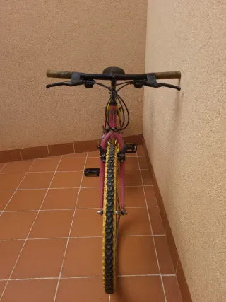 Bicicleta Montaña BTT Económica