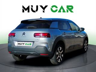Citroen C4 Cactus PureTech 110 S&S Shine 81 kW (110 CV)