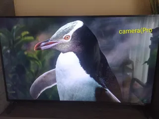 Xiaomi Redmi Note 10S NFC - 4G