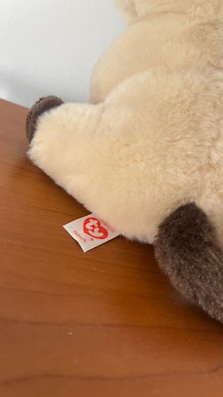 Peluche Gato Siamés Ojos Azules Brillantes