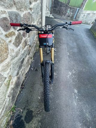 Saracen Myst Pro Bici DH