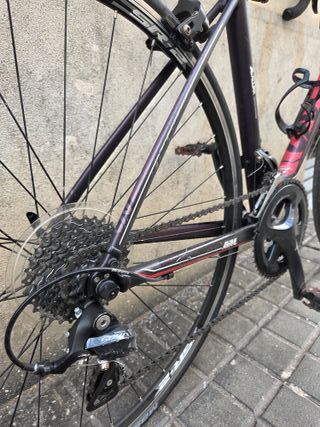 Bicicleta LIV Talla S Mujer