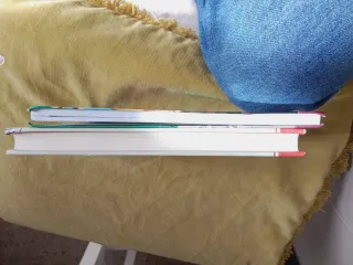 Lote de 2 libros de Enid Blyton