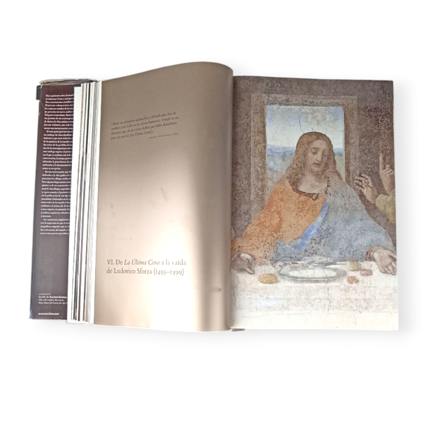 Leonardo Da Vinci-Taschen