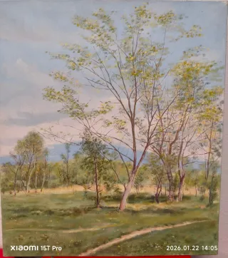 Quadri paesaggi, artista Paolo Carozzi