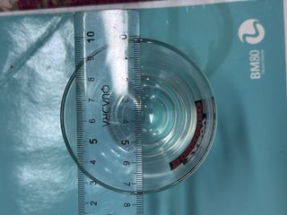 Bicchiere shot Zabov Bombardino 6PZ