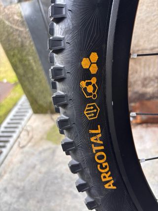 Ruedas MTB 29 DT Swiss EX511 Hope pro