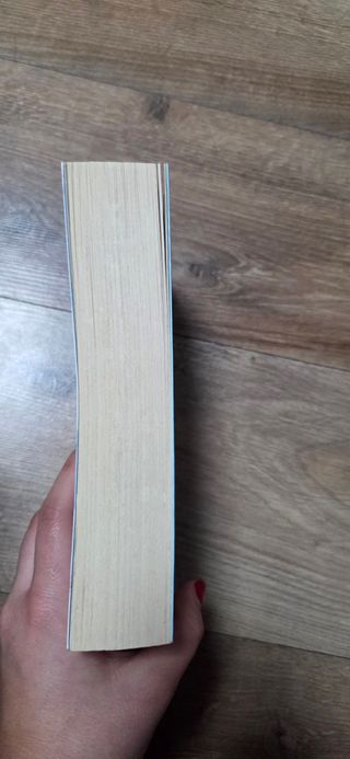 Scusa ma ti voglio sposare