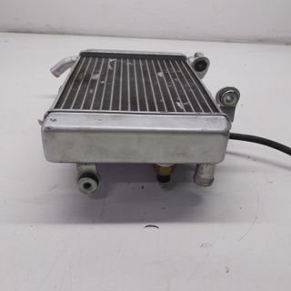 Radiatore acqua elettroventola Benelli 251