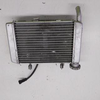 Radiatore acqua elettroventola Benelli 251