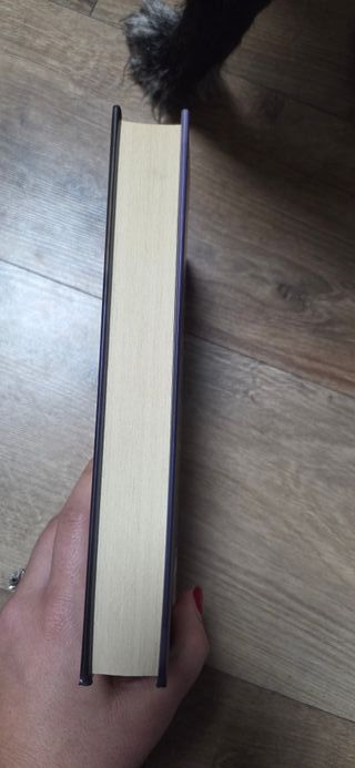 Un disastro perfetto