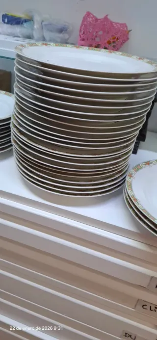 34 Platos de porcelana Limoges decorados
