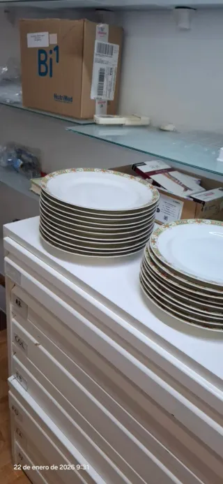 34 Platos de porcelana Limoges decorados
