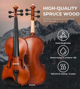 Vangoa 4/4 Violín Completo con Accesorios