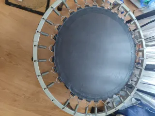 Cama elástica para ejercicio