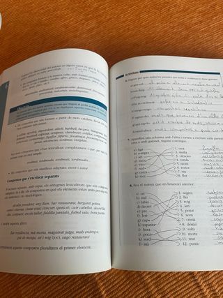 Curs de llengua catalana Nivell D