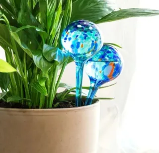 Set 6 Bolle D'irrigazione Vasi Tecnoma