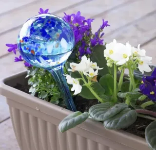 Set 6 Bolle D'irrigazione Vasi Tecnoma