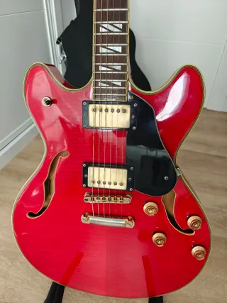 Washburn HB35 Pastillas Ballestone