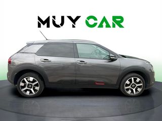 Citroen C4 Cactus BlueHDi 100 S&S Live 73 kW (99 CV)