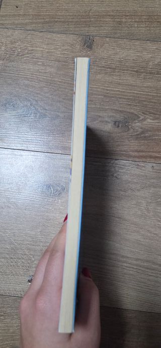 Cercasi Niki Disperatamente (Italian Edition)