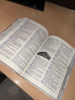 DICCIONARIO DE LENGUA ESPAÑOLA (PRIMARIA)