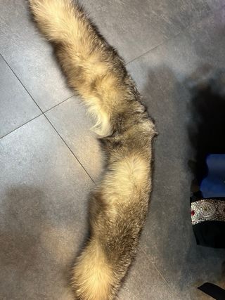 Collo di pelliccia beige argento