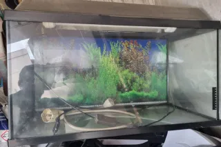 Pecera con tapa y luz