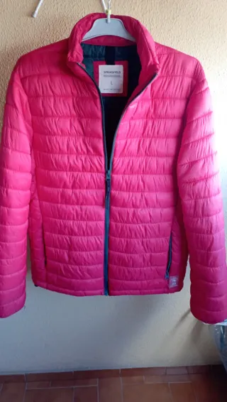 SPRINGFIELD CHAQUETA ACOLCHADA