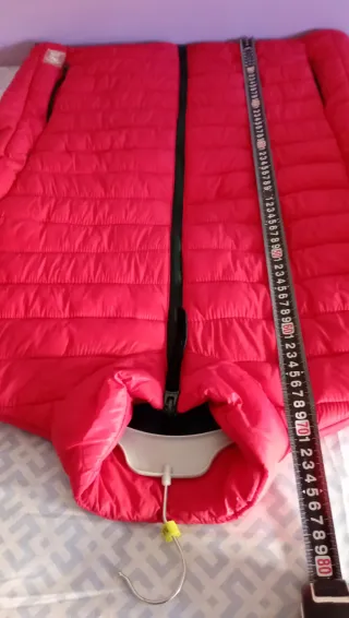 SPRINGFIELD CHAQUETA ACOLCHADA