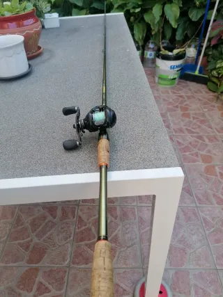 Caña de pescar y carrete para swimbait