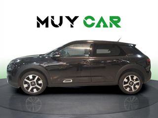 Citroen C4 Cactus PureTech 110 S&S Shine Pack 81 kW (110 CV)