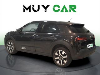 Citroen C4 Cactus PureTech 110 S&S Shine Pack 81 kW (110 CV)