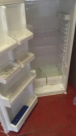 Congelador panelable