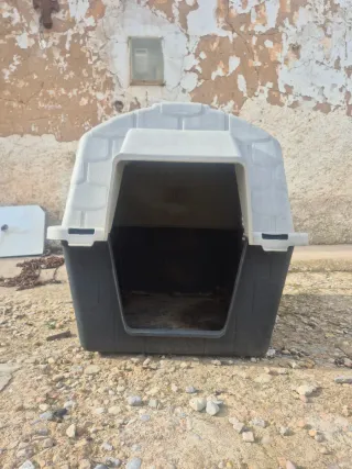 Caseta perro