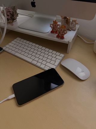 iPhone 11 Pro Max Plata